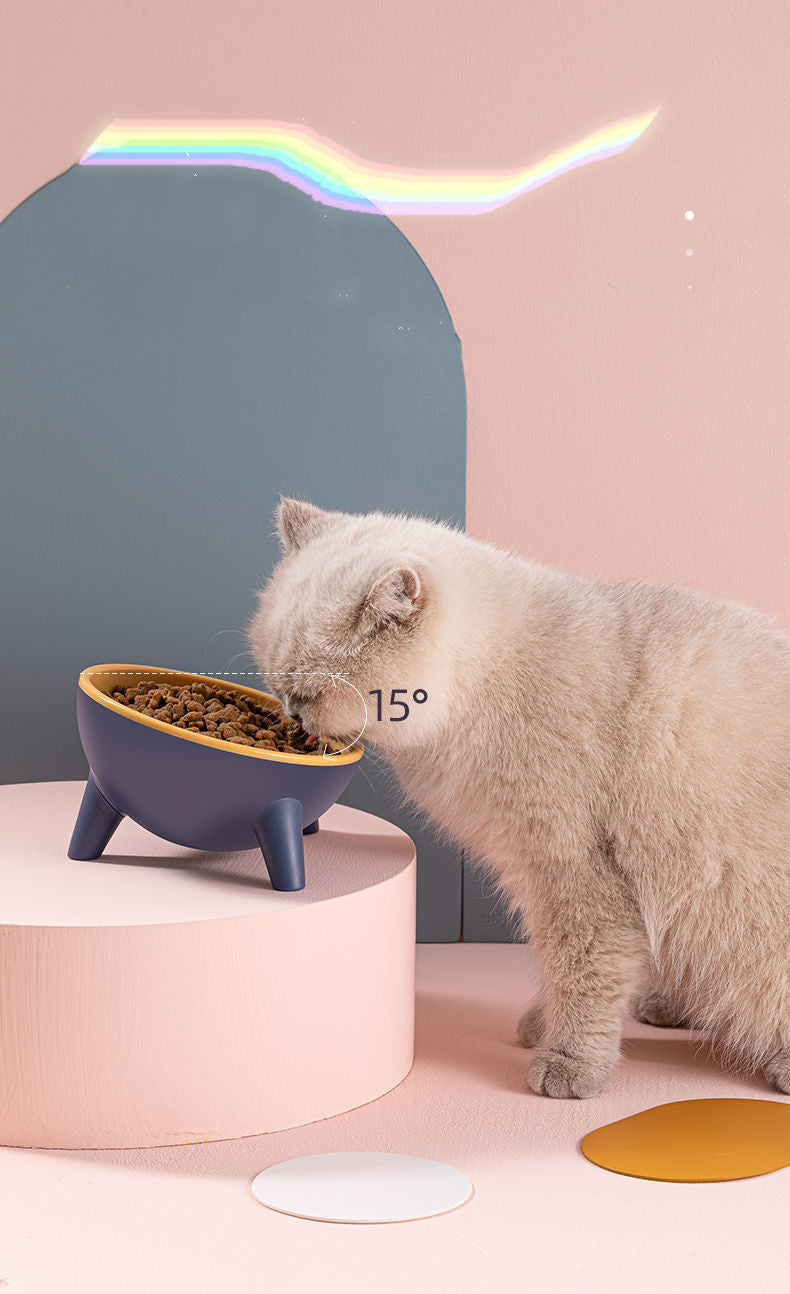 Cat and Dog Bowl With Stand Pet Feeding Bowls