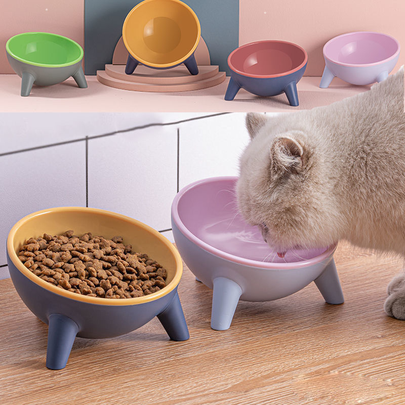 Cat and Dog Bowl With Stand Pet Feeding Bowls