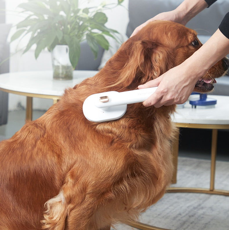 3-in-1 Steam Pet Grooming Brush – Self Cleaning Spray Comb